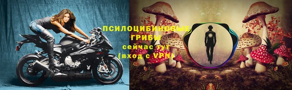 дживик Алзамай