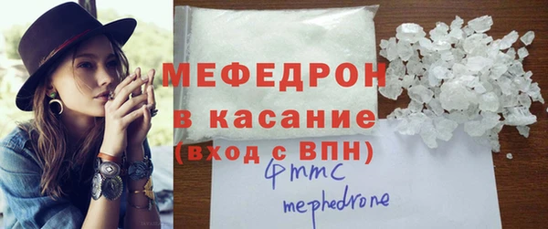 дживик Ельня