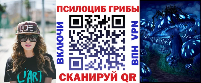 Псилоцибиновые грибы GOLDEN TEACHER  даркнет как зайти  Невинномысск  магазин  наркотиков 